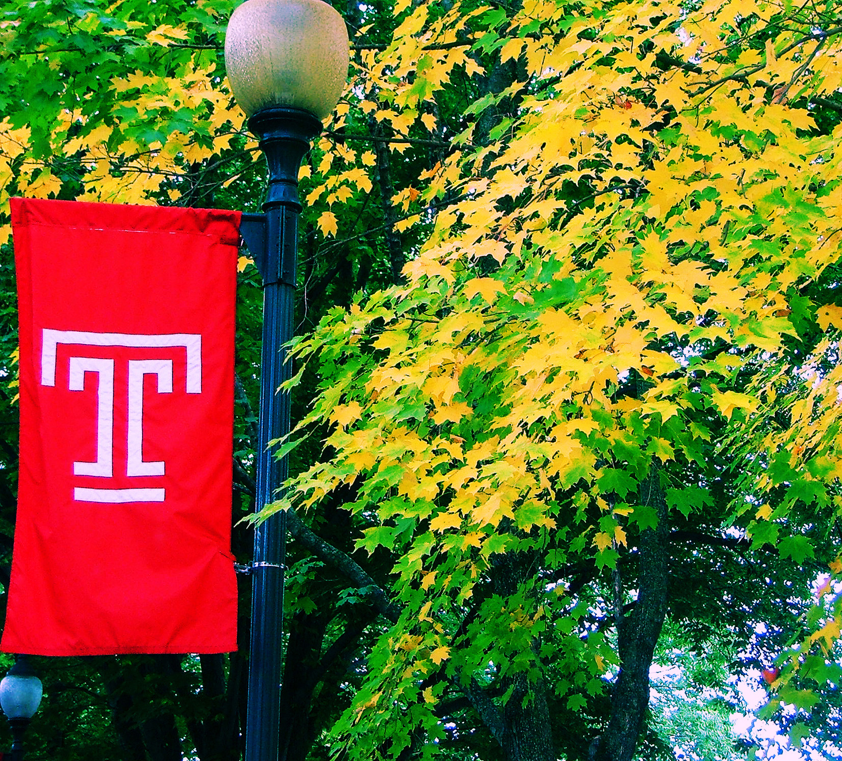 A view of the Temple T in the fall at Temple University Ambler