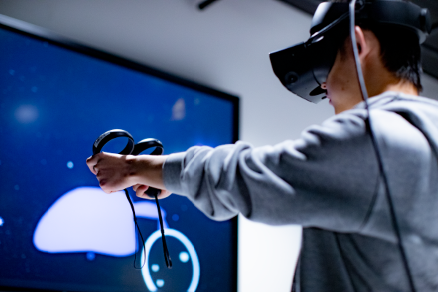 VR user.