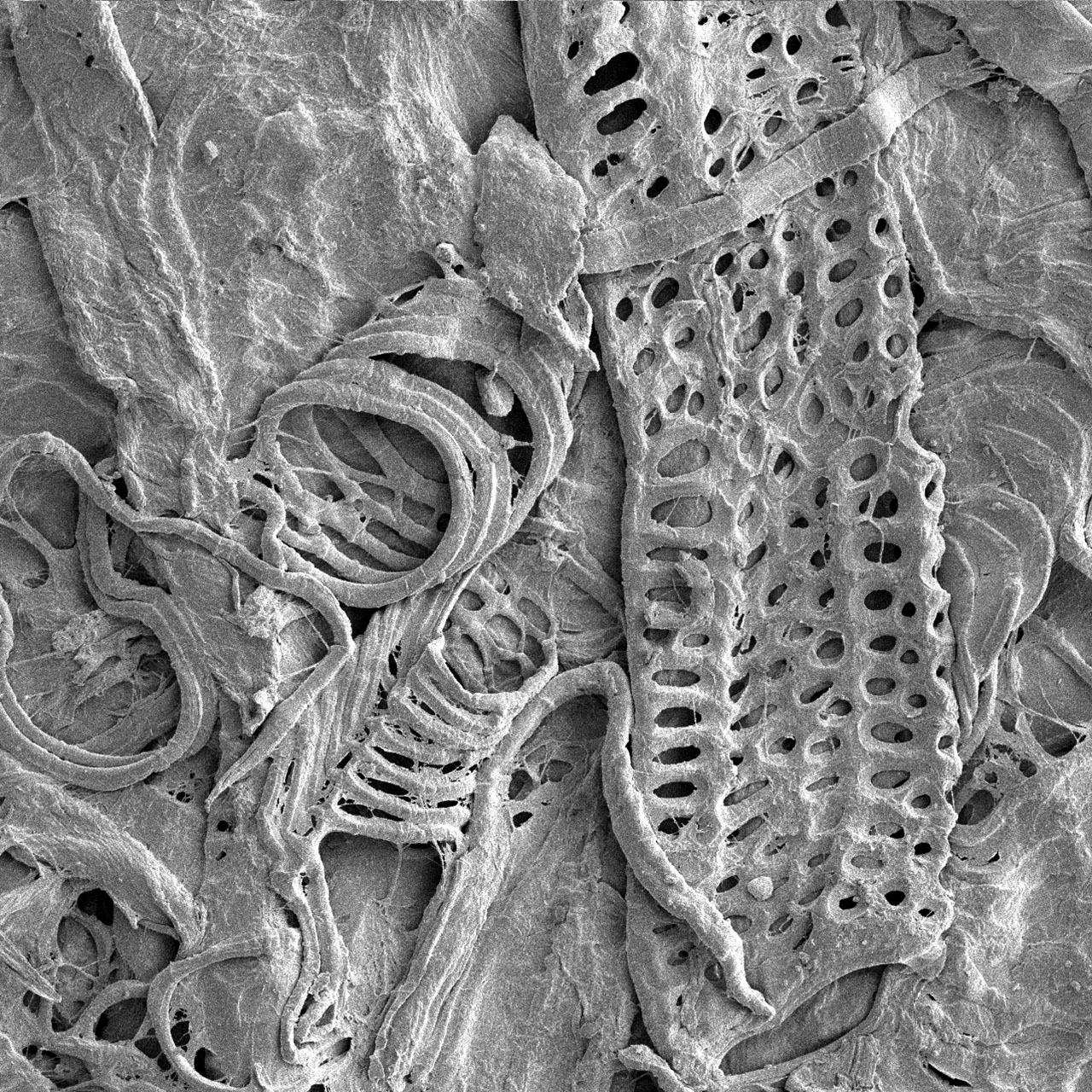 3D-printed mold.
