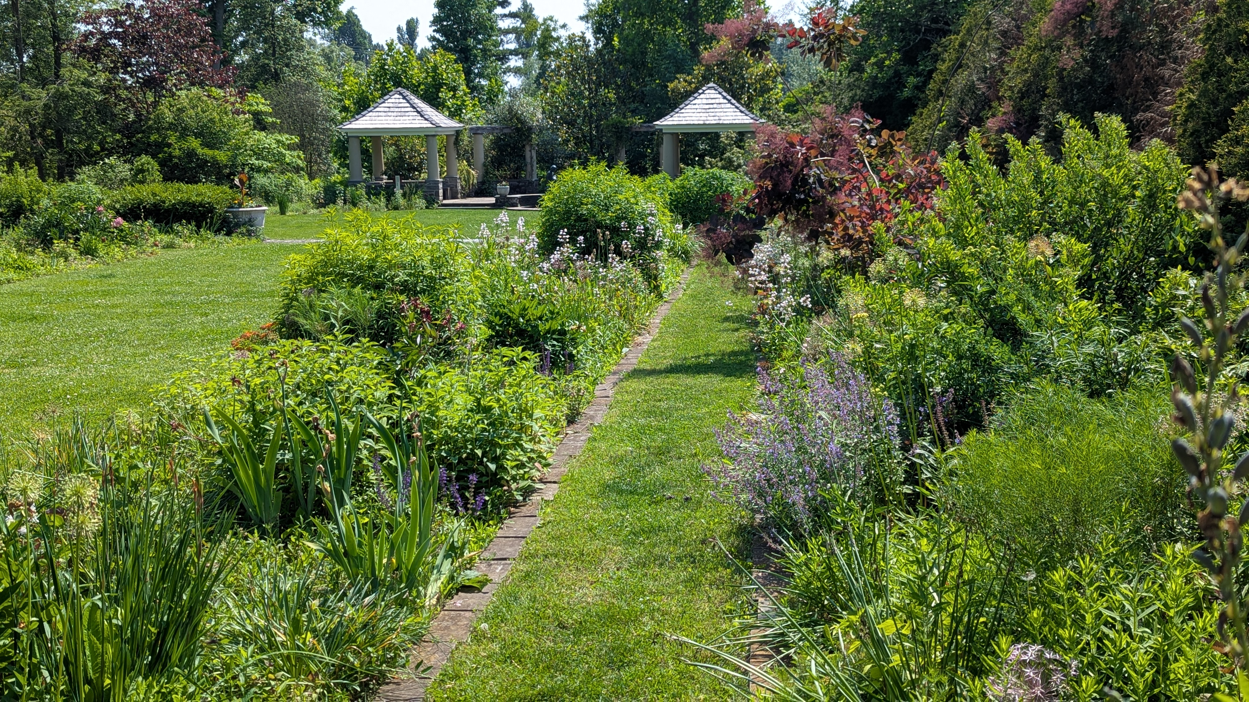 Ambler Arboretum: Summer Horticulture Hike