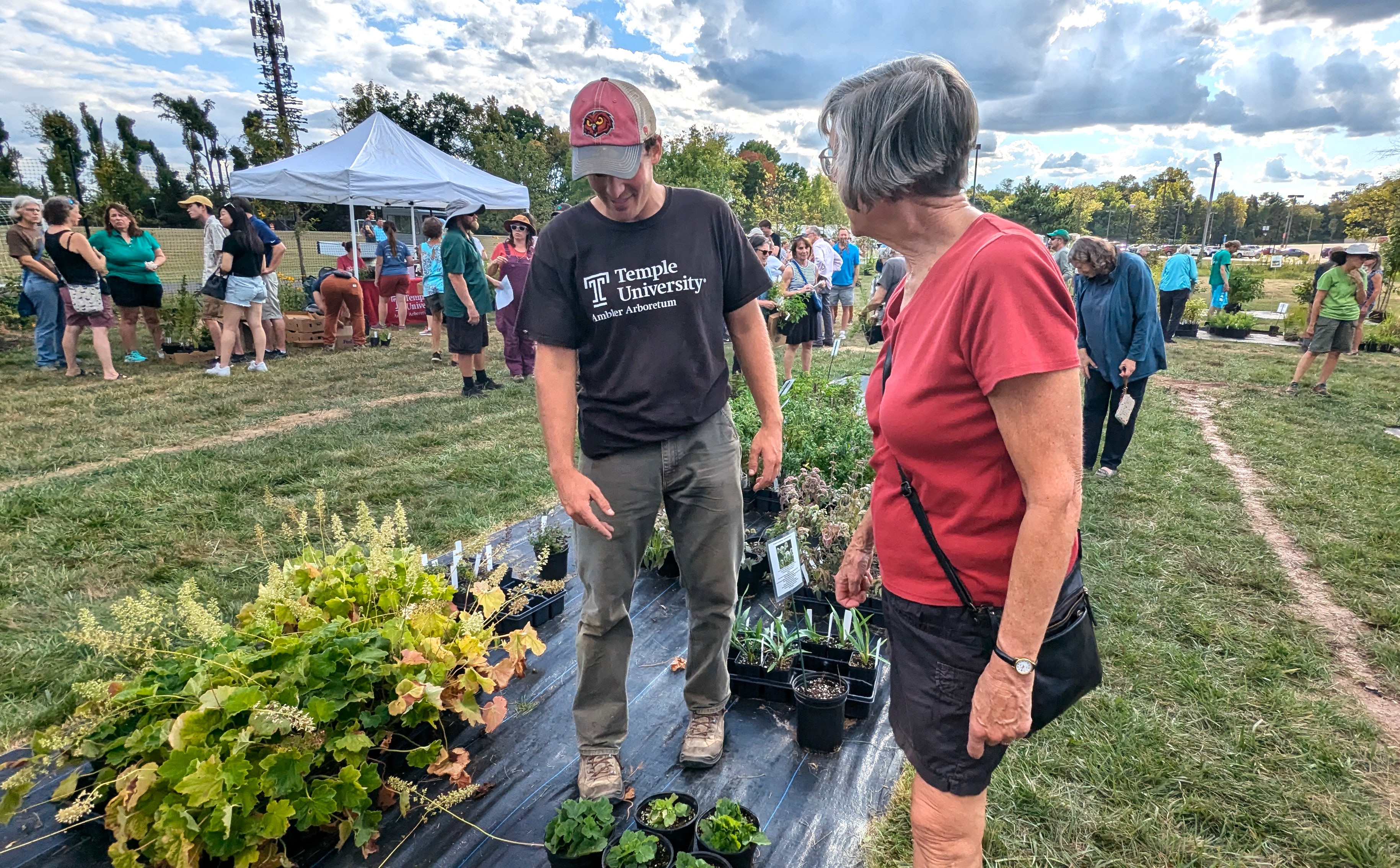 Collins Nursery – July 11, 2026