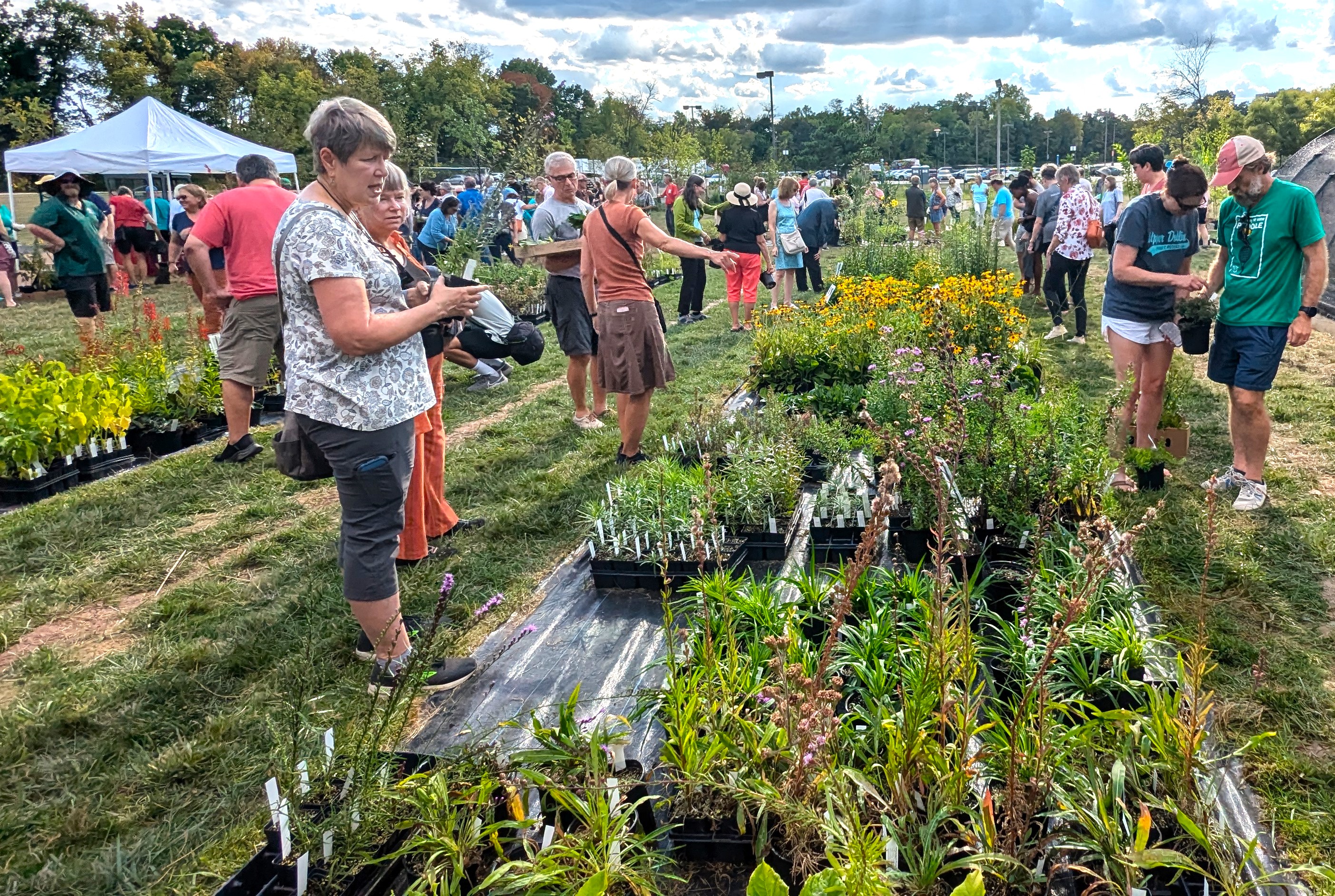Collins Nursery - May 30, 2026