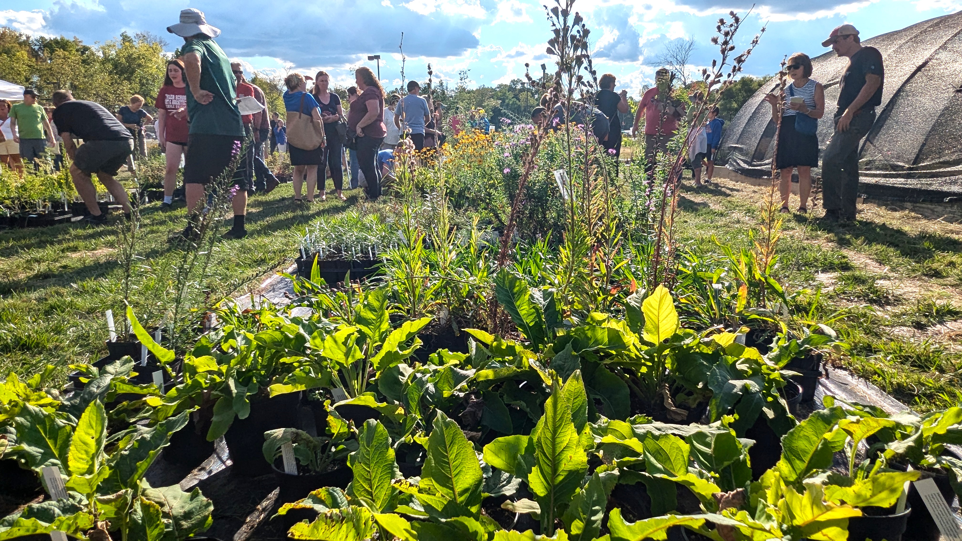 Collins Nursery – October 17, 2026