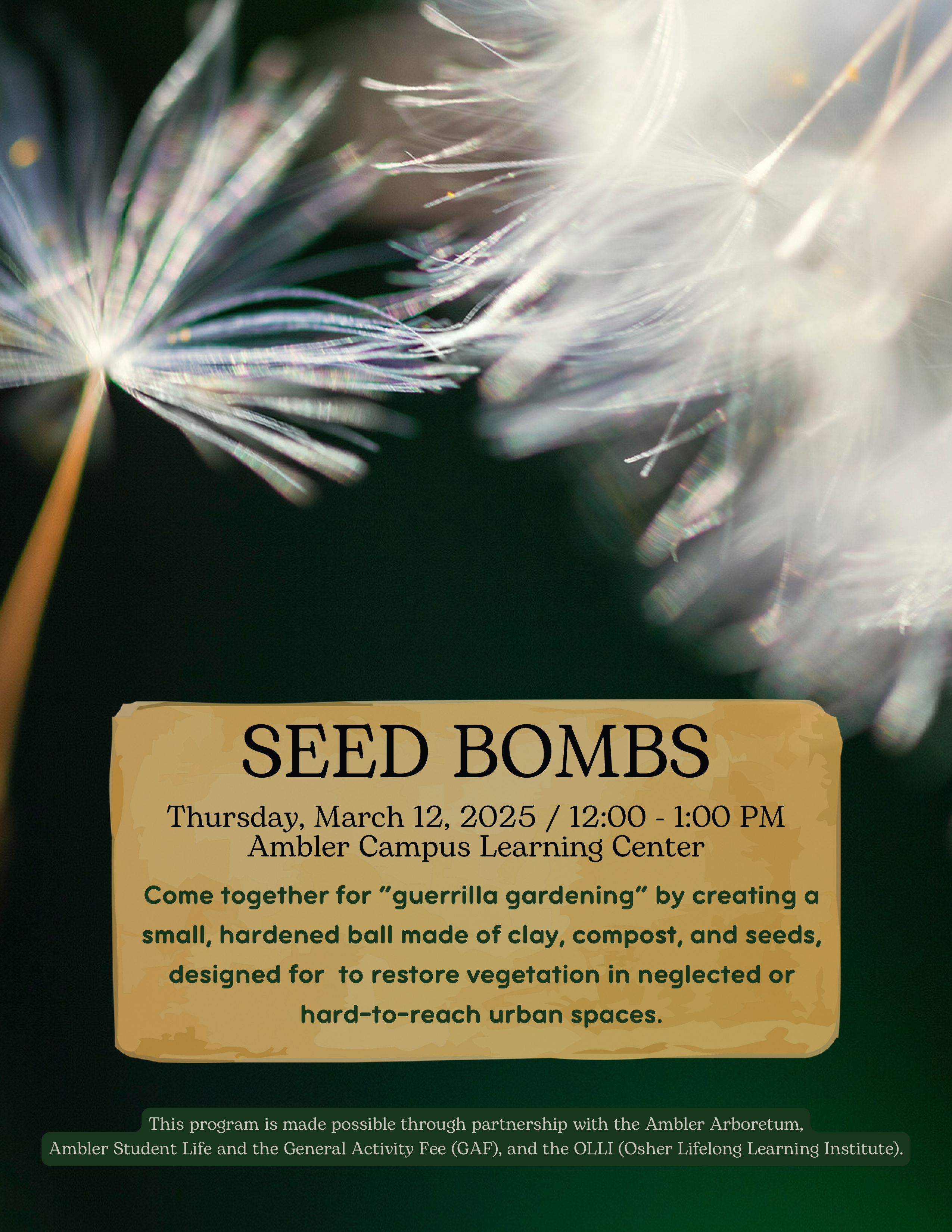 Seed Bombs