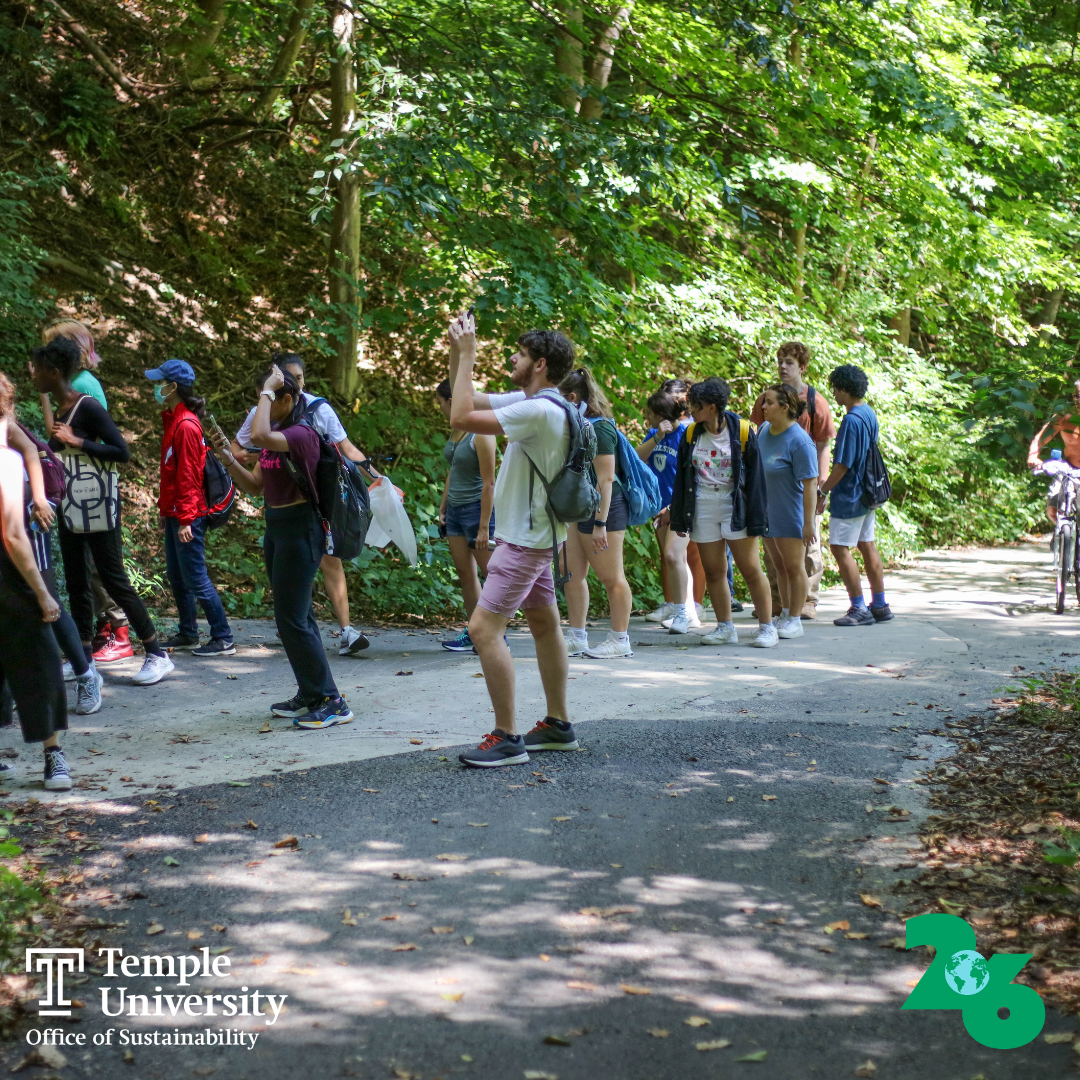 People hiking on a wooded trail