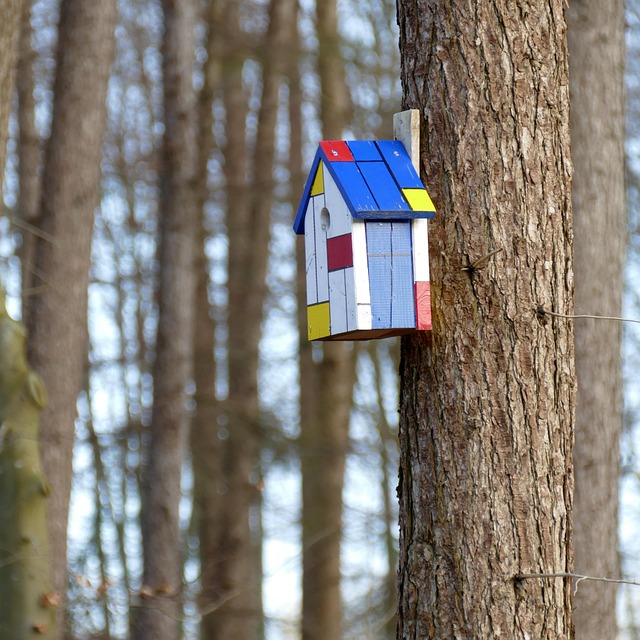 Birdhouse on a tree.