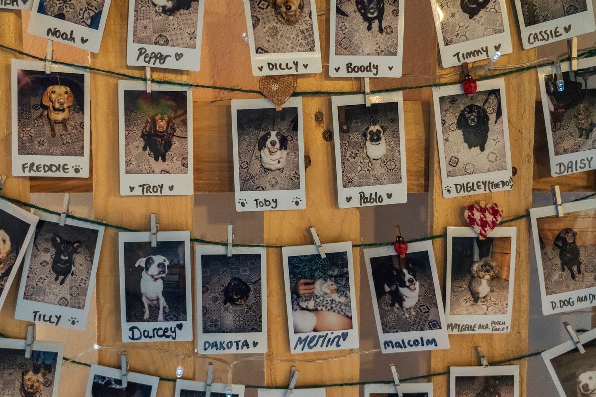 Photos on a line