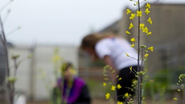 20120418_gardens_030_2