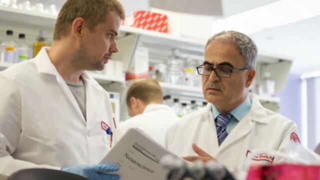 20140716_neuro_015rec_0_0