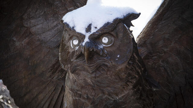 A picture of Temple's owl statue.