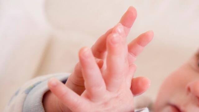 baby_brains_thumbnail_2