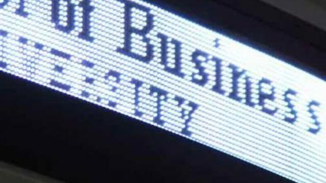 buzzy