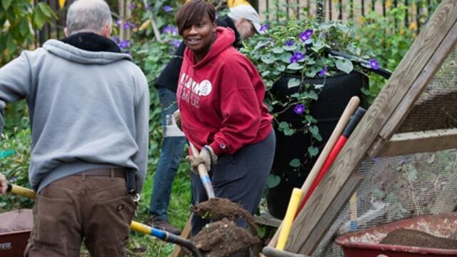 Temple volunteers working in a community garden on Global Day of Service.