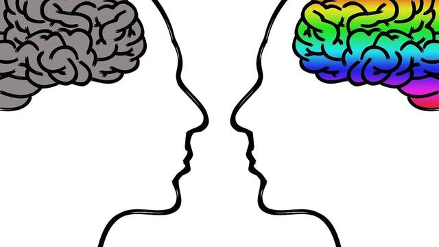 Two people with different colored brains