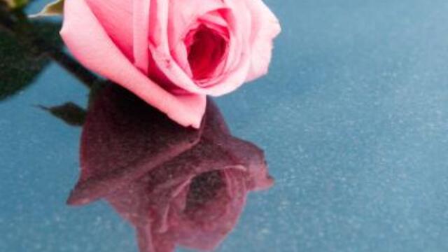 istock_000008182715xsmall