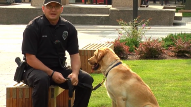 k-9unit_1