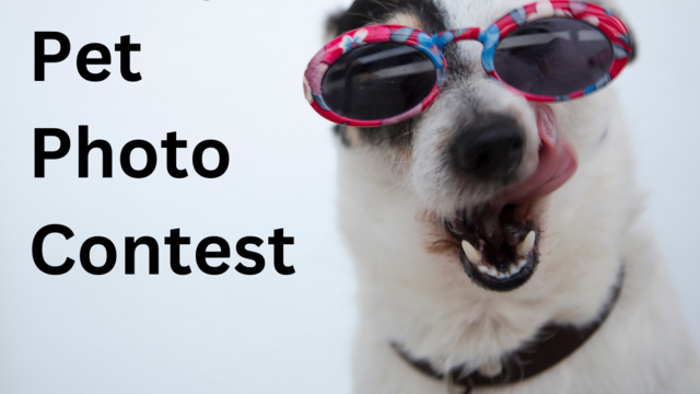 Funny Pet Photo Contest