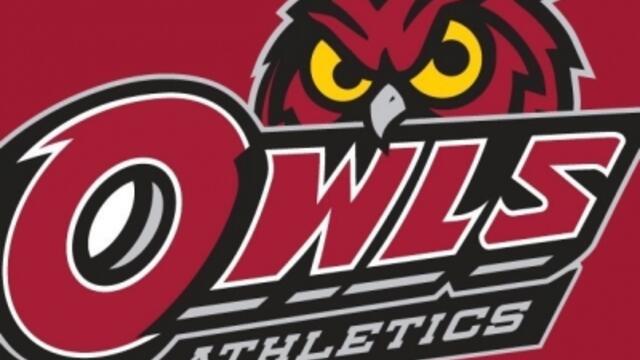 primary_owl