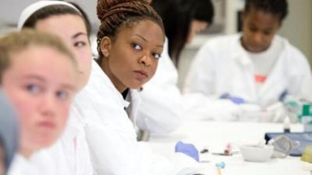 stem_thumbnail_0