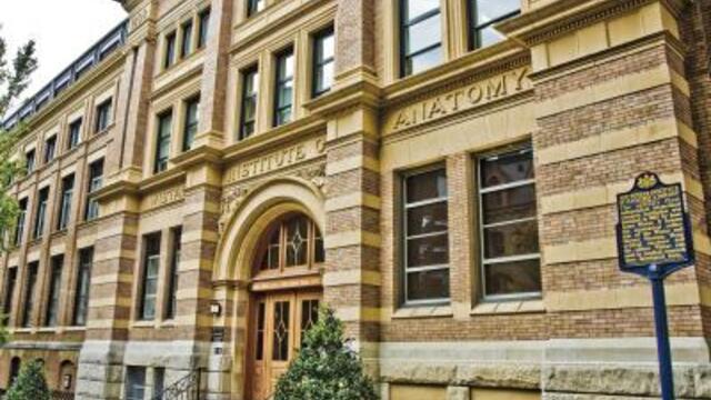 wistar-2010_spruce_ext2