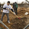Students working in an urban garden.