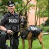 20150521_police_dog_rec_005_medium
