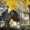 20201114_admissions_tour_076-web_res_jpeg_150_dpi_labolito