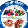 adult-food-plate2