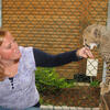 cheetah-outreach3