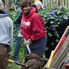 Temple volunteers working in a community garden on Global Day of Service.